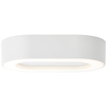 Brilliant Whittaker Buiten muurverlichting LED Wit, 1-licht