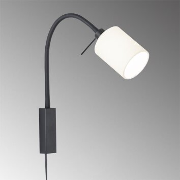 Fischer & Honsel Maui Muurlamp Zwart, 1-licht