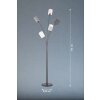 Fischer & Honsel Koi Staande lamp Zwart, 5-lichts