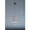 Fischer & Honsel Vigo Hanger Zwart, 1-licht