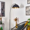 Beles Staande lamp Zwart, 1-licht