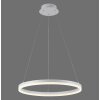 Paul-Neuhaus TITUS Hanglamp LED Wit, 1-licht