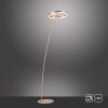 Paul-Neuhaus TITUS Staande lamp LED Messing, 1-licht