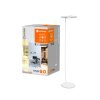 LEDVANCE Sun@Home Staande lamp Wit, 1-licht