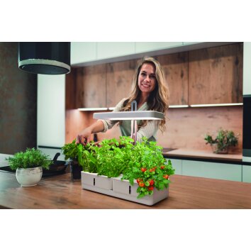 LEDVANCE Indoor Garden Tafellamp Wit, 1-licht