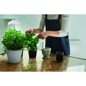 LEDVANCE Indoor Garden Grondspies Wit, 1-licht