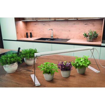 LEDVANCE Indoor Garden Tafellamp Wit, 1-licht