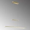 Fischer & Honsel  Tenso TW Hanglamp LED Messing, 1-licht