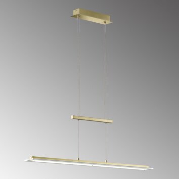 Fischer & Honsel  Tenso TW Hanglamp LED Messing, 1-licht