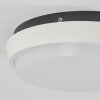 Centinela Buitenshuis plafond verlichting LED Antraciet, Wit, 1-licht