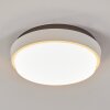 Centinela Buitenshuis plafond verlichting LED Antraciet, Wit, 1-licht