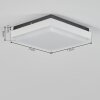 Gomero Buitenshuis plafond verlichting LED Antraciet, Wit, 1-licht