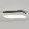 Gomero Buitenshuis plafond verlichting LED Antraciet, Wit, 1-licht