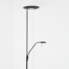 Confluencia Staande lamp LED Zwart, 2-lichts