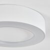 Paleroo Buitenshuis plafond verlichting LED Wit, 1-licht