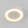 Paleroo Buitenshuis plafond verlichting LED Wit, 1-licht