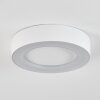 Paleroo Buitenshuis plafond verlichting LED Wit, 1-licht