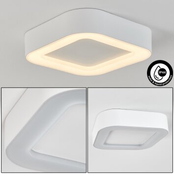 Paleroo Buitenshuis plafond verlichting LED Wit, 1-licht