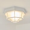 Ibacache Buitenshuis plafond verlichting Wit, 1-licht