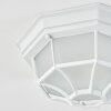 Ibacache Buitenshuis plafond verlichting Wit, 1-licht