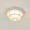 Ibacache Buitenshuis plafond verlichting Wit, 1-licht