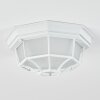 Ibacache Buitenshuis plafond verlichting Wit, 1-licht