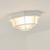 Ibacache Buitenshuis plafond verlichting Wit, 1-licht