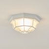 Ibacache Buitenshuis plafond verlichting Wit, 1-licht