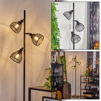 Omba Staande lamp Natuurlijke kleuren, Zwart, 3-lichts