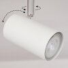 Javel Plafondlamp Chroom, houtlook, Wit, 6-lichts