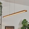 Guacacallo Hanglamp LED Zwart, 1-licht