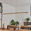 Guacacallo Hanglamp LED Zwart, 1-licht