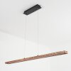 Guacacallo Hanglamp LED Zwart, 1-licht