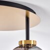 Verbania Plafondlamp Messing, 3-lichts