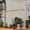 Guacacallo Hanglamp LED Zwart, 1-licht