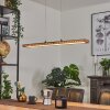 Guacacallo Hanglamp LED Zwart, 1-licht