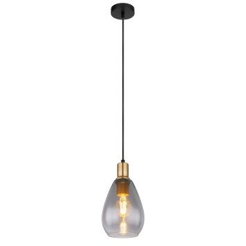 Globo FANNI Hanger Messing, Zwart, 1-licht