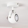 Gadmen Plafondlamp Chroom, Wit, 1-licht