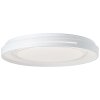 Brilliant Barty Plafondlamp LED Chroom, Wit, 1-licht, Afstandsbediening