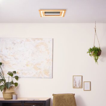 Brilliant Rhea Plafondlamp LED Bruin, Zwart, 1-licht