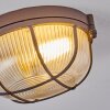 Chaquire Plafondlamp Bruin, Roest, 1-licht