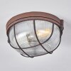 Chaquire Plafondlamp Bruin, Roest, 1-licht