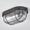 Quintay Plafondlamp Zwart, 1-licht