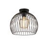 Fischer & Honsel Wire Plafondlamp Zwart, 1-licht