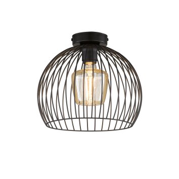 Fischer & Honsel Wire Plafondlamp Zwart, 1-licht