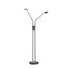 FHL easy Luna Staande lamp LED Zwart, 2-lichts