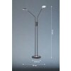 FHL easy Luna Staande lamp LED Zwart, 2-lichts