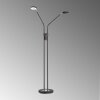 FHL easy Luna Staande lamp LED Zwart, 2-lichts