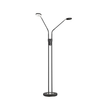 FHL easy Luna Staande lamp LED Zwart, 2-lichts