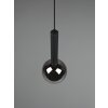 Trio Clayton Hanglamp Zwart, 1-licht